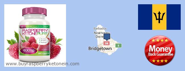 Dónde comprar Raspberry Ketone en linea Barbados